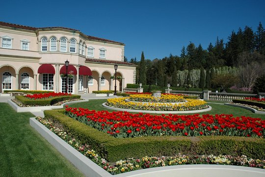 Tour image 4