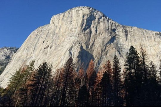 Tour image 5