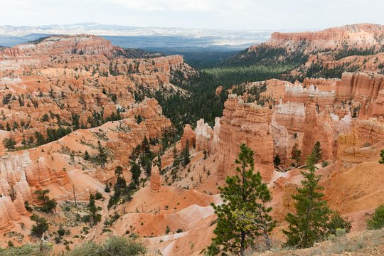Tour image 1