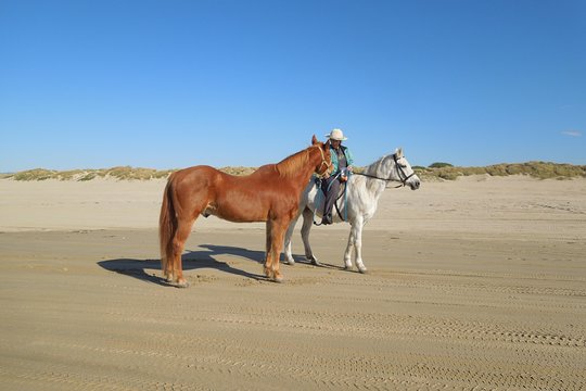 Tour image 1
