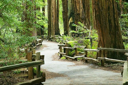 Tour image 1