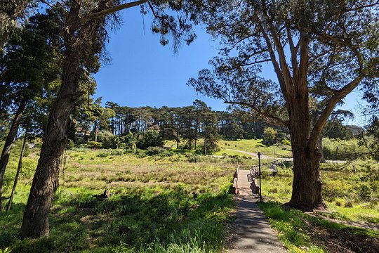 Tour image 7