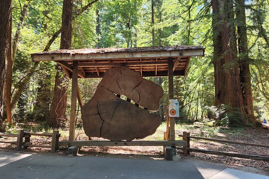 Tour image 4
